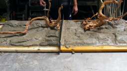 Die Rückwand für "Nature of Dreams Ogooué"