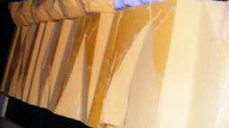 Die Rückwand für "Nature of Dreams Ogooué"