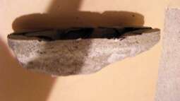 Limament...das Rezept für Guru !!!die Verarbeitung 