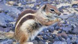 Bin wieder da- ein paar Impressionen