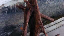 Für die Liebhaber von Gro??aquarien