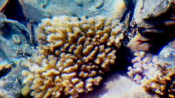 Was man erst hinterher entdeckt...