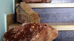 für den EB-Chefdekorierer....