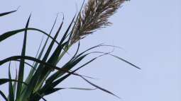 Bin wieder da- ein paar Impressionen