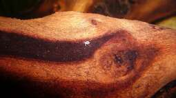 Ich bekomm die Krise