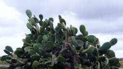 Bin wieder da- ein paar Impressionen