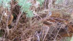 Bin wieder da- ein paar Impressionen