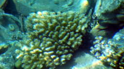 Was man erst hinterher entdeckt...