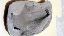 Limament...das Rezept für Guru !!!die Verarbeitung 