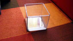 Exclusiv für EB von Aquascape-Guru- Das ???Klappaquarium??? ??? Innovation im Aquarienbau