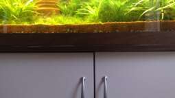 Aquariumbauer gefuscht oder hab ich ein falsches Verständnis von qualität