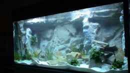aquarium-von-tropicmarin-becken-10047_Mein Malawi Becken