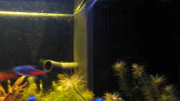 aquarium-von-iglomer-becken-10133_Filter von außen