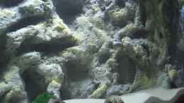 aquarium-von-oliver-knoenagel-becken-10211_Blick auf Filtereinlass versteckt mit Gitter