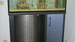 aquarium-von-lars-schnabel-becken-1023_Babybecken Aufzucht 100x40x60cm