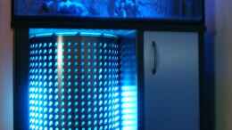 aquarium-von-lars-schnabel-becken-1023_Babybecken Aufzucht 100x40x60cm Nachtled + Spots