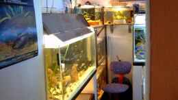 aquarium-von-helgo-jacob-becken-1029_Eingang zum Fischraum