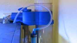 aquarium-von-holgi-k--trigon-350-abloesung-durch-deltec--becken_Aqua Medic Turbofloter Blue 1000