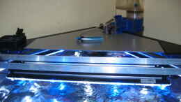 aquarium-von-holgi-k--trigon-350-abloesung-durch-deltec--becken_Die neue LED- Beleuchtung