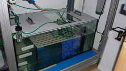 Aquarium einrichten mit Filterbecken