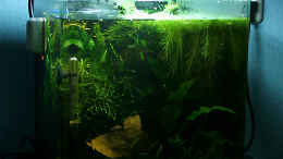 aquarium-von-gezina-becken-10579_gesamtansicht 12/2008