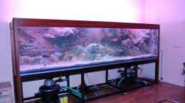 aquarium-von-wietze-bron-becken-10590_
