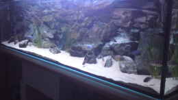 aquarium-von-michael-schoepf-becken-10621_