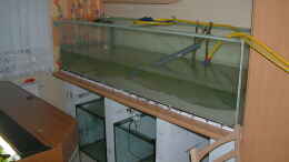 aquarium-von-frank-krueger-2--becken_Unten die 2 -- 150 Liter  Filterbecken und das AQ bei der Be