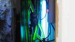 aquarium-von-klaus-traxler-becken-10627_UV-Lampe, Ext. Pumpe, Abfluss, Zufluss,...