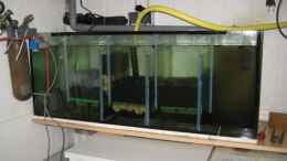 aquarium-von-me-anic-cr-becken-10861_Filteranlage im Keller