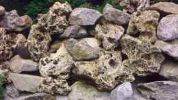 aquarium-von-thomas-riemenschneider-riemis-becken_die Steine sind lose aufeinander gelegt