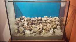 aquarium-von-thomas-riemenschneider-riemis-becken_fertiger Steinaufbau