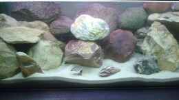 aquarium-von-tobias-seiffert-200l-tanganjika--becken-existiert-nicht-mehr_19.11.2008
