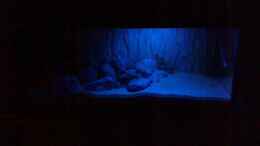 aquarium-von-julie-becken-11253_Becken bei Mondlicht