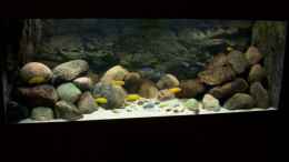 aquarium-von-rene-sarink-becken-11355_neues Foto mit 35kg mehr Steine.