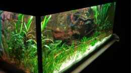 aquarium-von-melle-becken-11381_