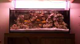aquarium-von-babyschlumpf-becken-11412_neues 300l Becken