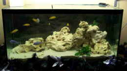 aquarium-von-babyschlumpf-becken-11412_normale Beleuchtung beim alten Becken