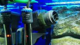 aquarium-von-jankov-becken-11556_Marea Magnetic 2400 mit zurechgeschnittenem Filtervlies
