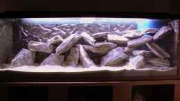 aquarium-von-peter-giesbrecht-becken-11700_Seinaufbau Ansicht Gesamt mit Beleuchtung