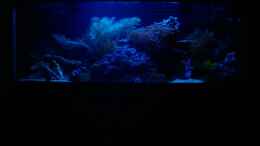 aquarium-von--uschi-juwelvision--aufgeloest-_Dämmerung/Mondlicht