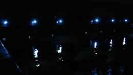 aquarium-von--uschi-juwelvision--aufgeloest-_Nacht LED... am Beckenrand