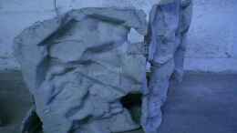 aquarium-von-dirk-friebe-becken-11803_künstliche Felsen aus Sand und Portlandzement