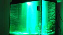 aquarium-von-auecheck-becken-11888_Mattenfilter mit (bewusst übertriebener) LED Beleuchtung. K