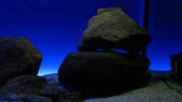 aquarium-von-oeli-zu-verkaufen_Neuer Steinaufbau rechte Beckenseite Nov. 2012