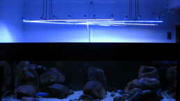 aquarium-von-oeli-zu-verkaufen_Lampengestell hoch gehängt zum besseren Arbeiten im Becken