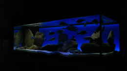 aquarium-von-oeli-zu-verkaufen_Diagonalansicht Komplettbeleuchtung
