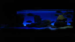 aquarium-von-oeli-zu-verkaufen_Frontalansicht ML + HB + Rechte Seite LED-weiß