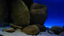 aquarium-von-oeli-zu-verkaufen_Neuer Steinaufbau linke Beckenseite Nov. 2012