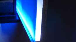 aquarium-von-oeli-zu-verkaufen_Hintergrundbeleuchtung - Detailansicht ohns Blende